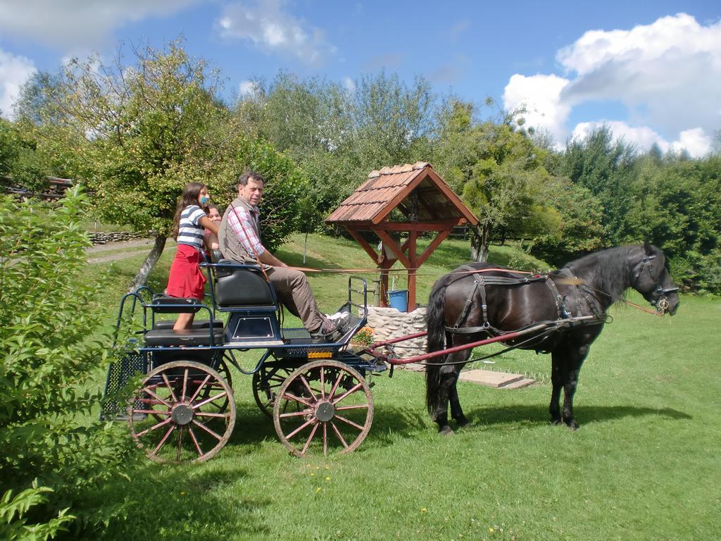 Pensiunea Arpasel Arpaşu de Sus Dış mekan fotoğraf