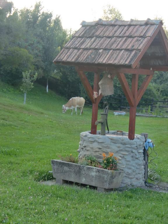 Pensiunea Arpasel Arpaşu de Sus Dış mekan fotoğraf